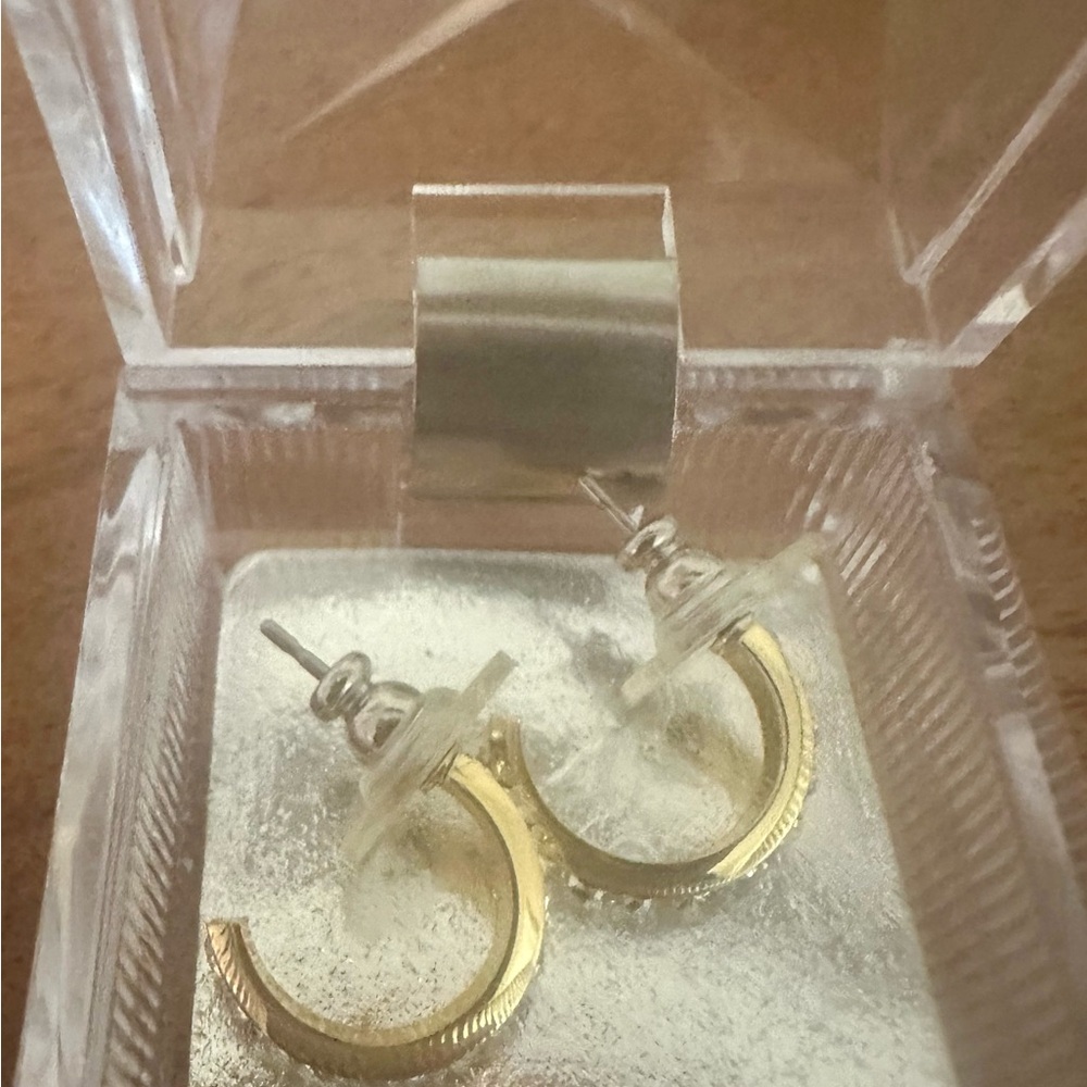 Elegant Gold Hoop Earrings